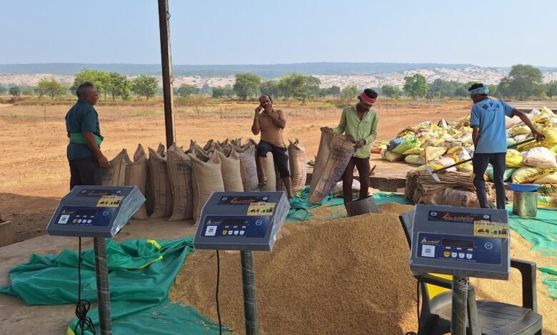 Rice Procurement