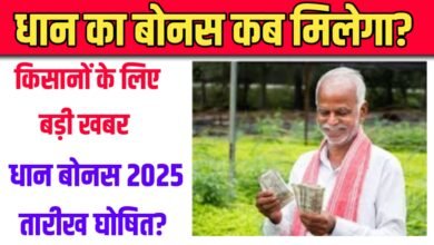 When will the farmers of Chhattisgarh get paddy bonus in 2025?