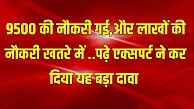 9500 कर्मचारियों की नौकरी गई,एक्सपर्ट्स का दावा- 2025 तक और लाखों नौकरियां जाएंगी...